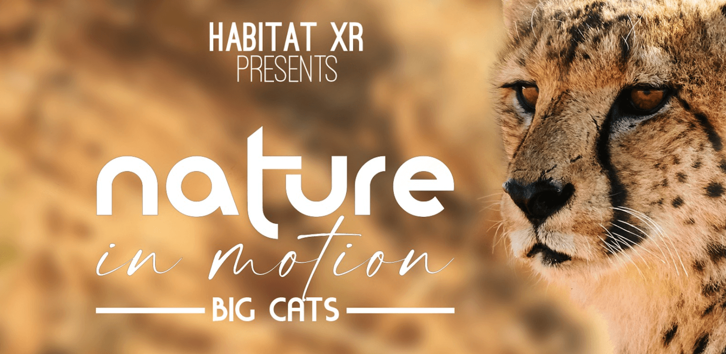 nature in motion big cats horizon worlds 20231204
